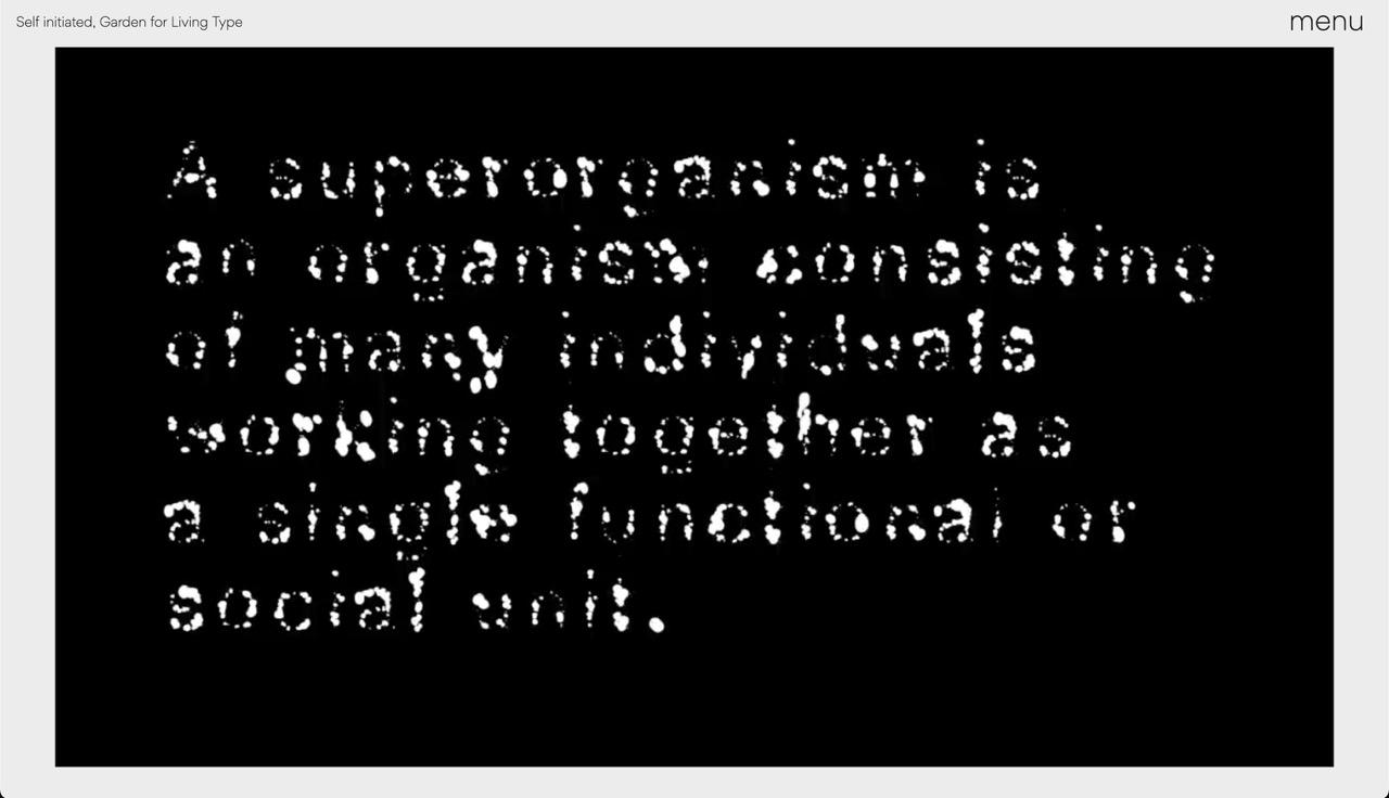 Image from Garden for Living Type by Nedislav G. Kamburov